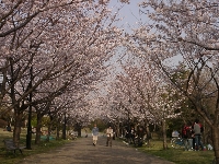 04080019